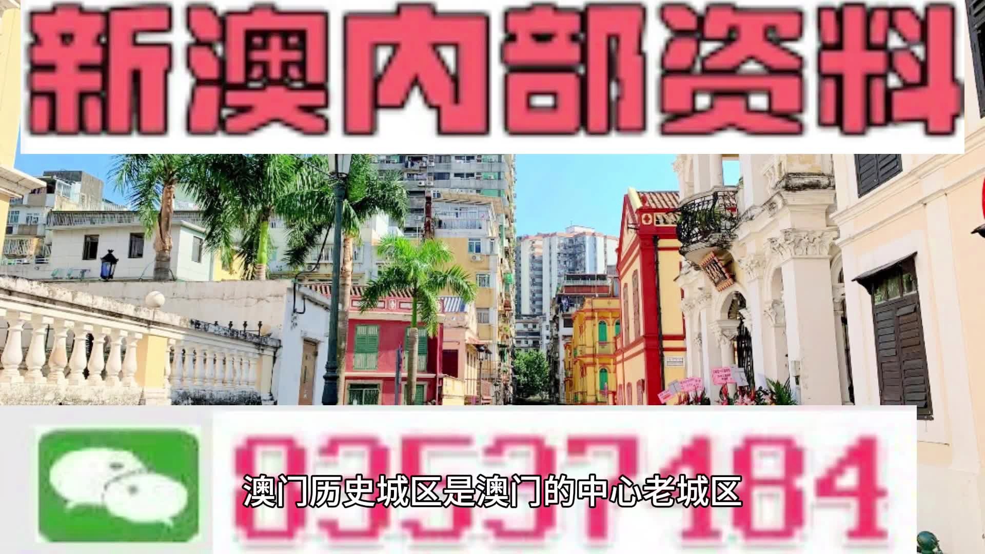 新闻 第242页