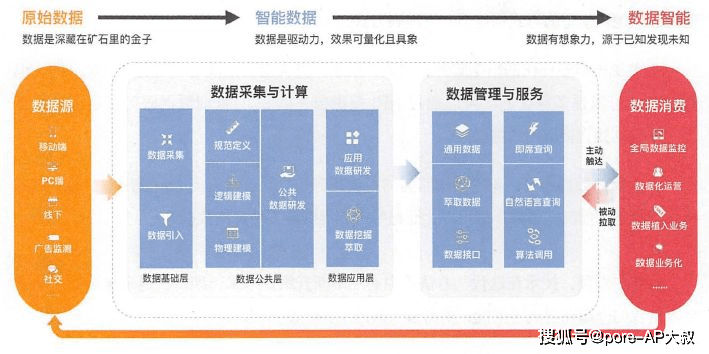 新奥天天免费资料单双,数据解答解释落实_复刻款86.018