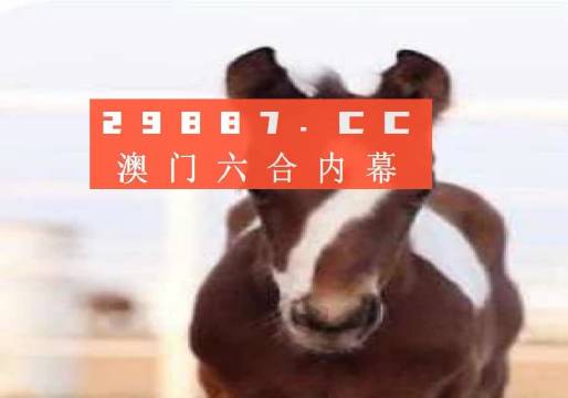 新闻 第206页