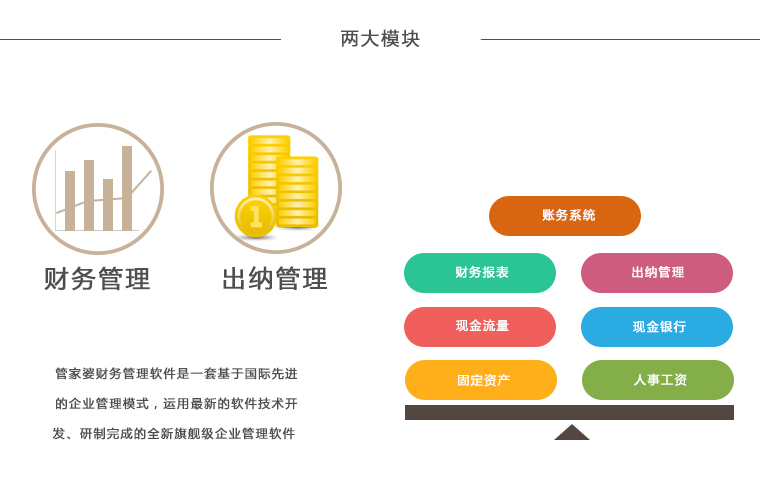 202管家婆一肖一吗,财务解析方案_可调版6.602