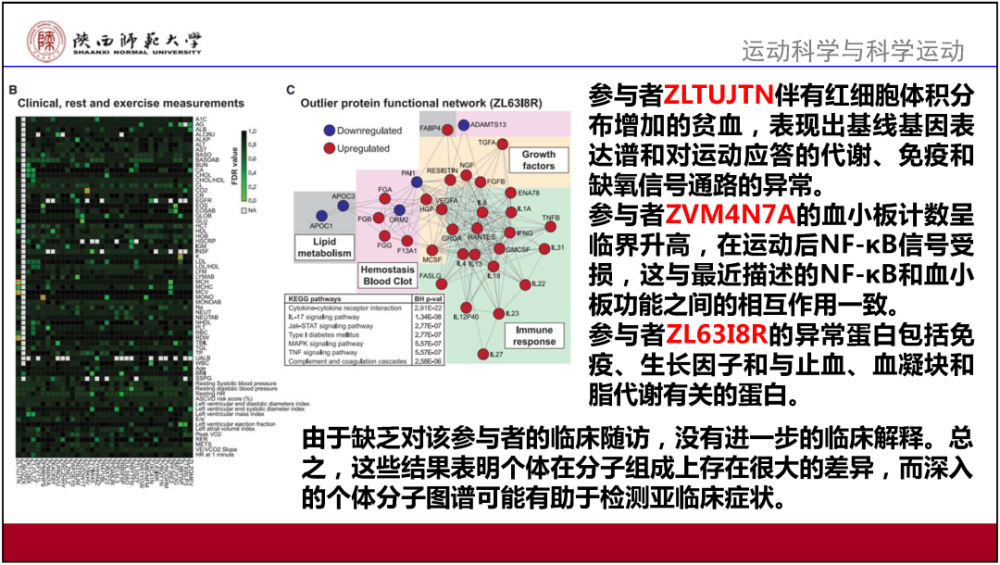 2024香港正版资料大全视频,全面解答解释落实_明星版67.26.24